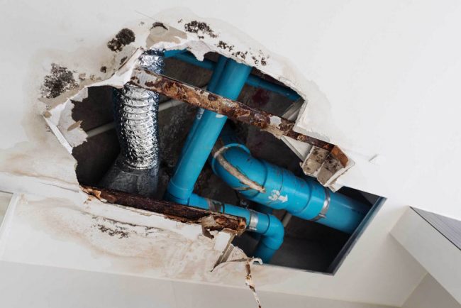 Signs You Have a Plumbing Leak in Your Home